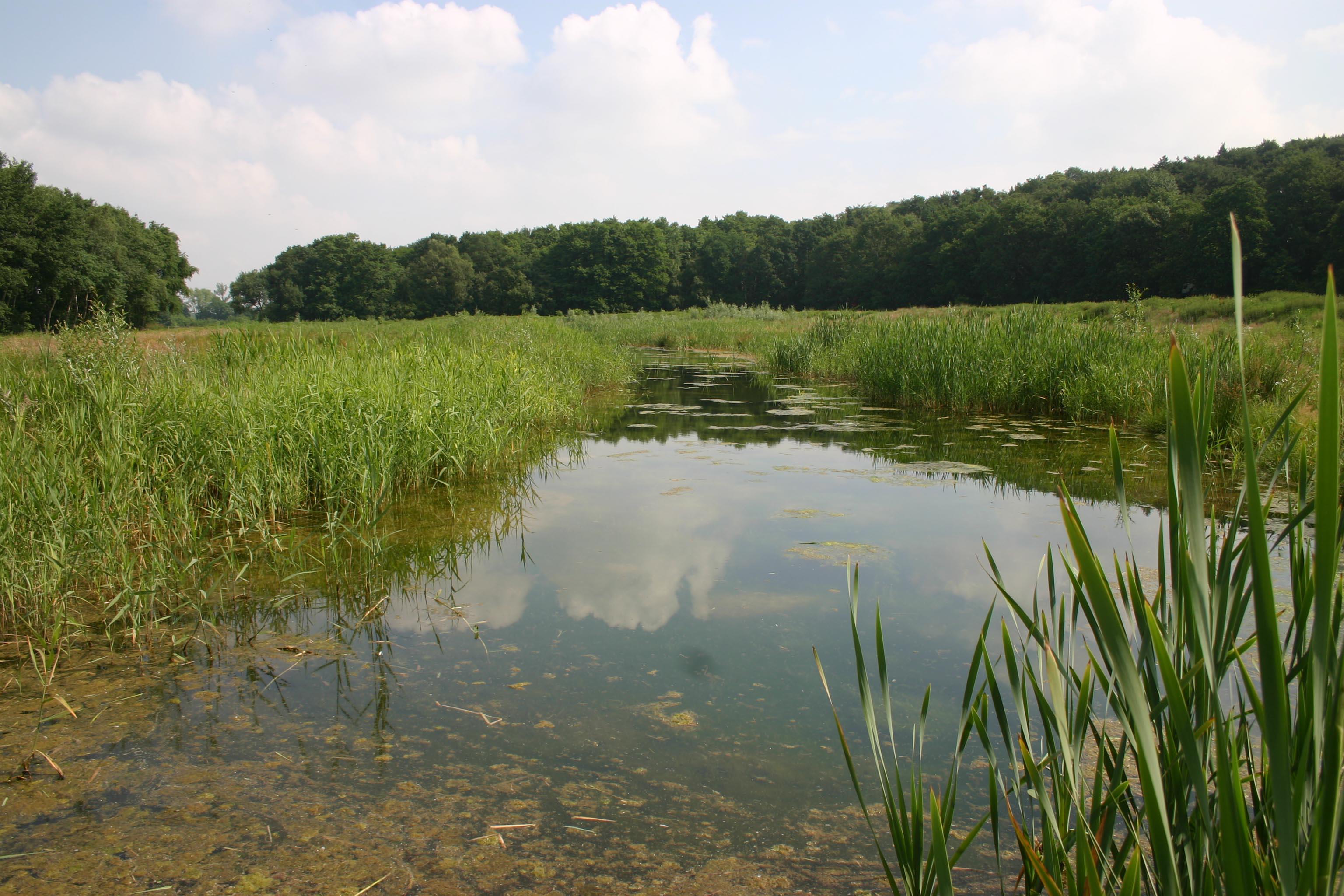 Sloot Aalsbeek.JPG